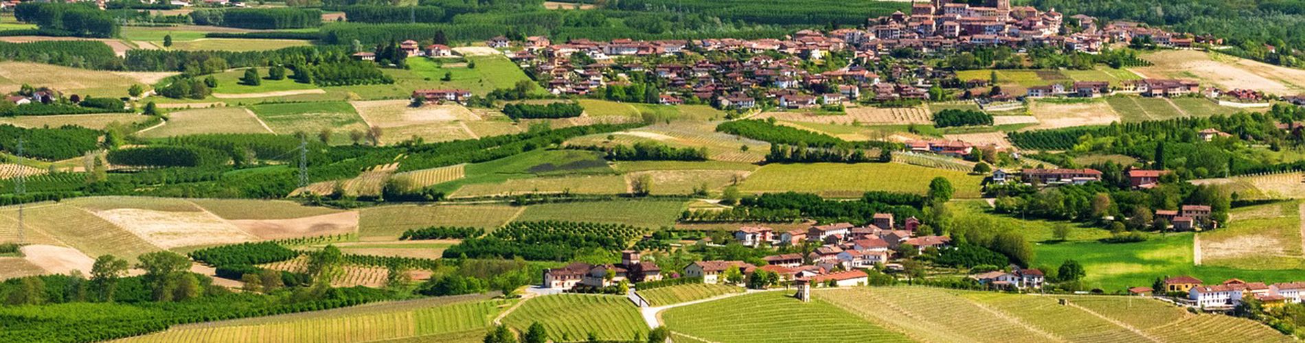 Langhe